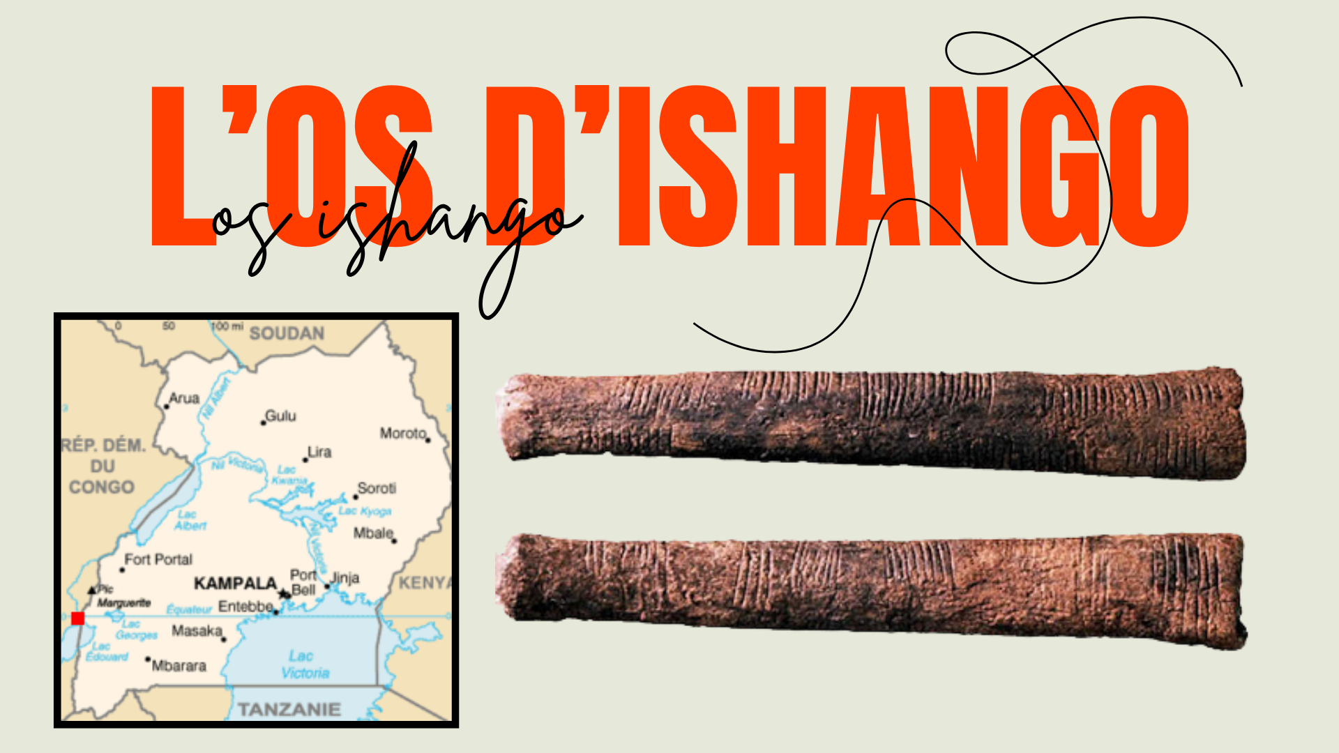 2024 Synthèse os ISHANGO